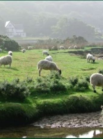 20.03.2026 - Spring Time - Lowland Round Tour